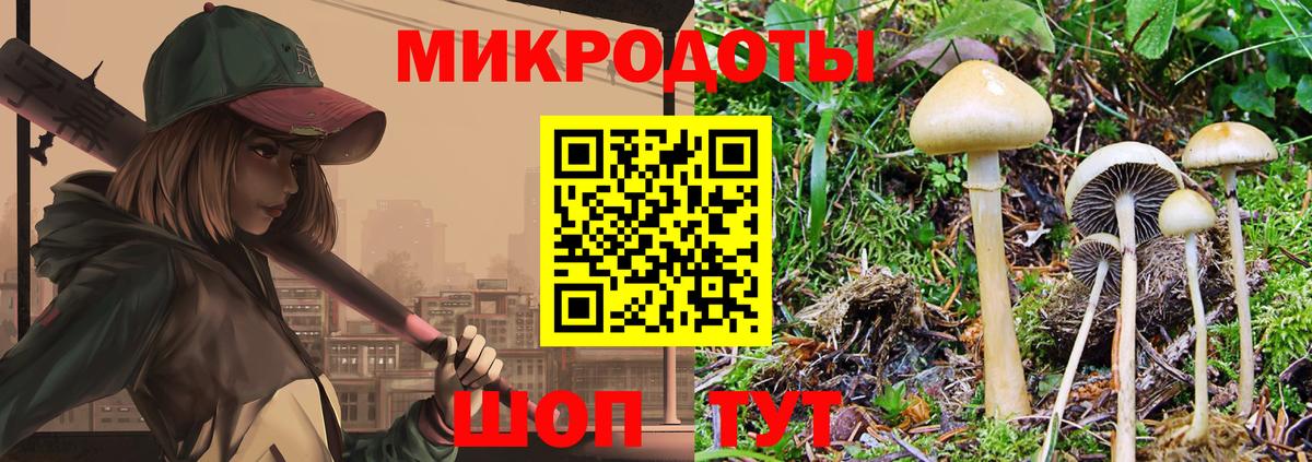 Галлюциногенные грибы мицелий  Псилоцибиновые грибы Cubensis  Буйнакск  Вход с VPN 